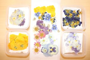 5月のイベント